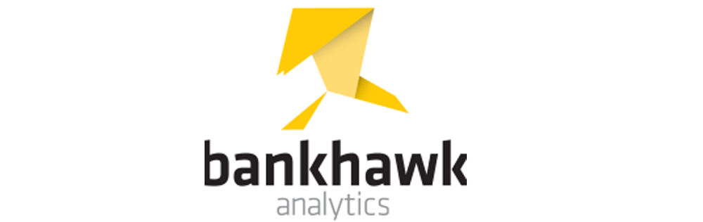 BankHawk Networks